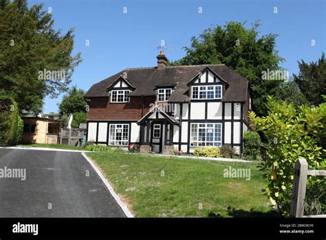 tudor surrey